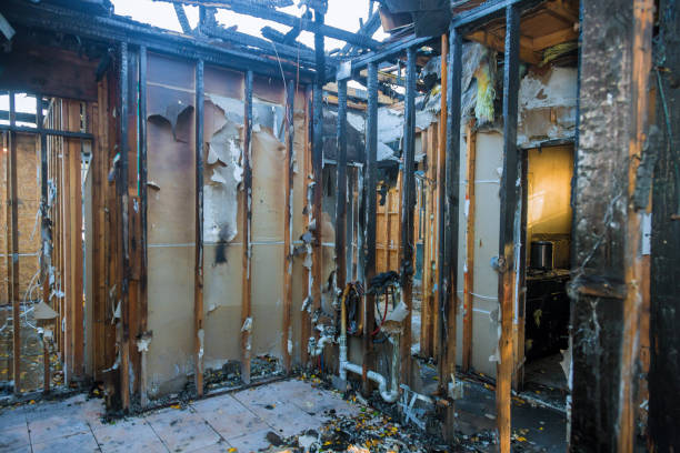 Professional Soot Cleanup technician working in Delphos, OH